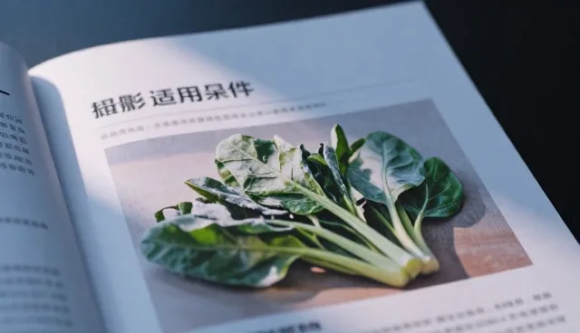 食材供应性能与适用条件选型关注点