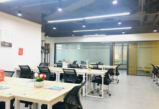 东莞室内阳台种菜需要什么土