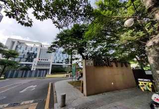 打版原创样衣设计公司