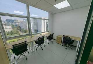 徐汇区别墅区绿植花卉租赁方案