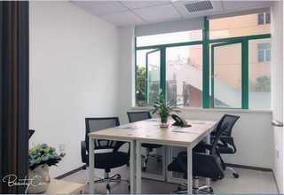 批发白水泥产品介绍