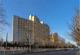 河北资质爱尔法有铅锡膏市场价