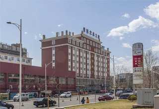 济宁有机蔬菜种植管理