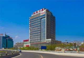 小猫吃的宠物益生菌哪个牌子安全