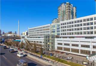 浙江李子苗服务电话