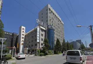 清远小型振动锤出售