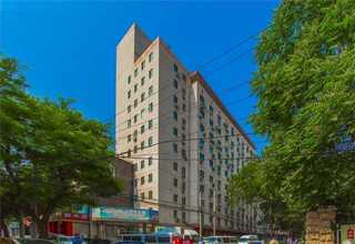 松江区阿尔博52.5白水泥生产厂家